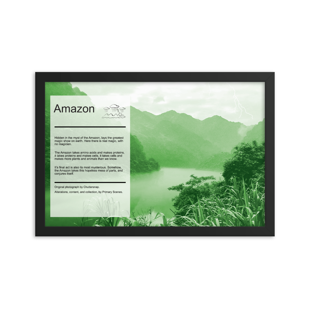 Amazon Image Collection