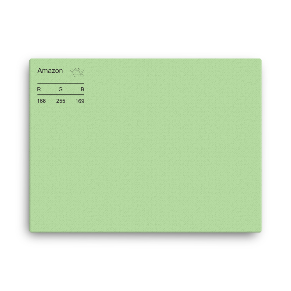 Amazon Palette Collection Canvas