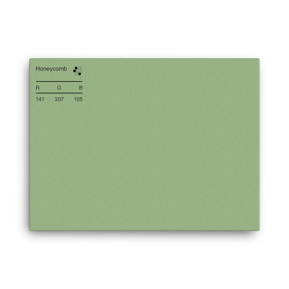 Honeycomb Palette Collection Canvas