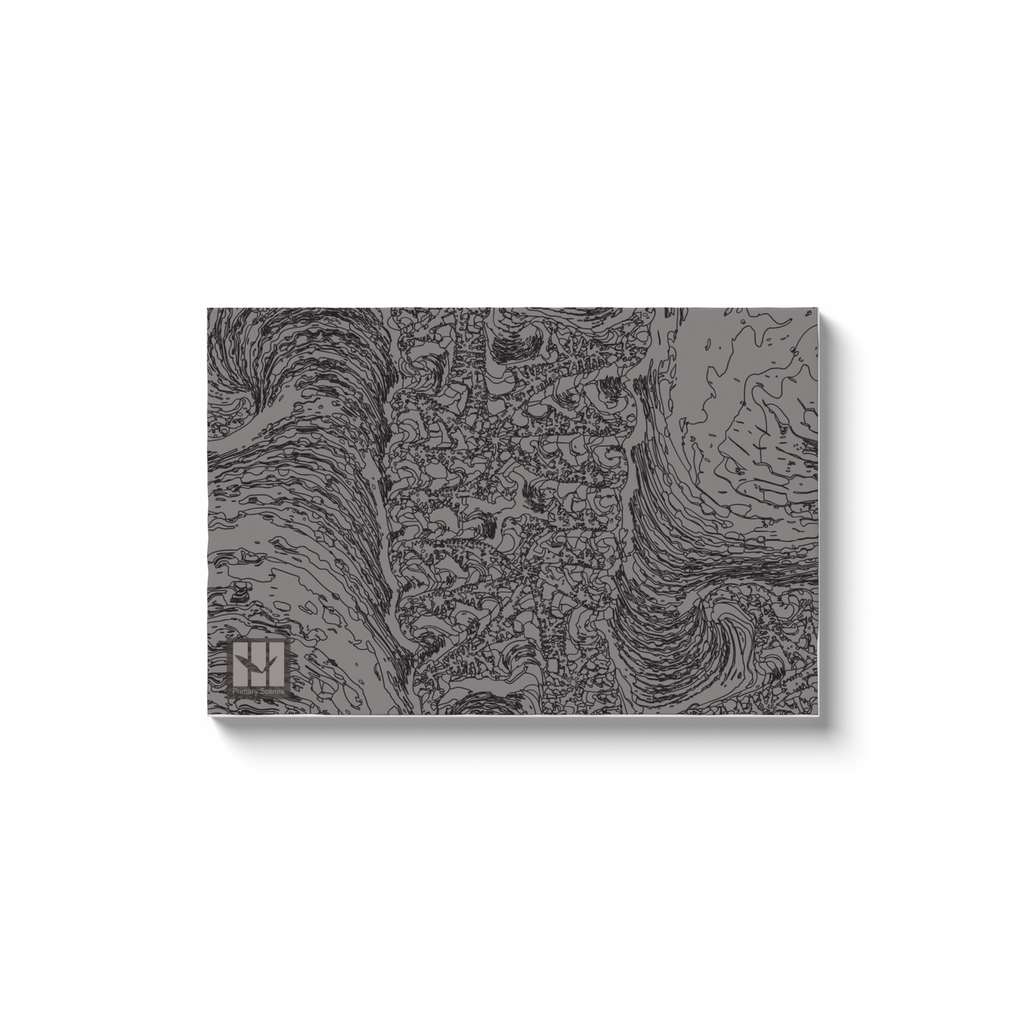 Lockdown Fractal 723 H - D2 A0 V1 - Canvas