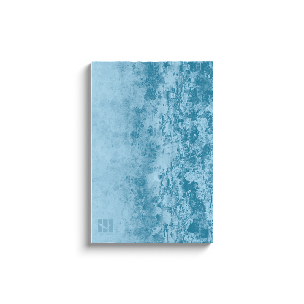 Land Abstract Drip Painted V - D1 A2 V1 - Canvas