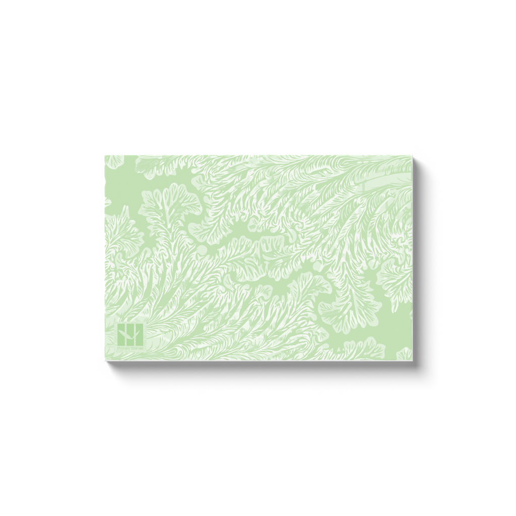 Amazon Fractal 8113 H - D6 A0 V1 - Canvas