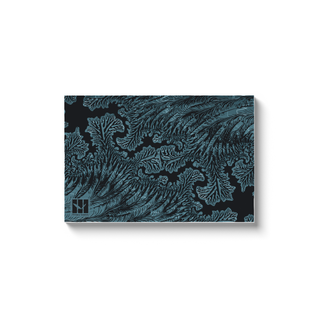 Storm Fractal 8113 H - D5 A0 V1 - Canvas