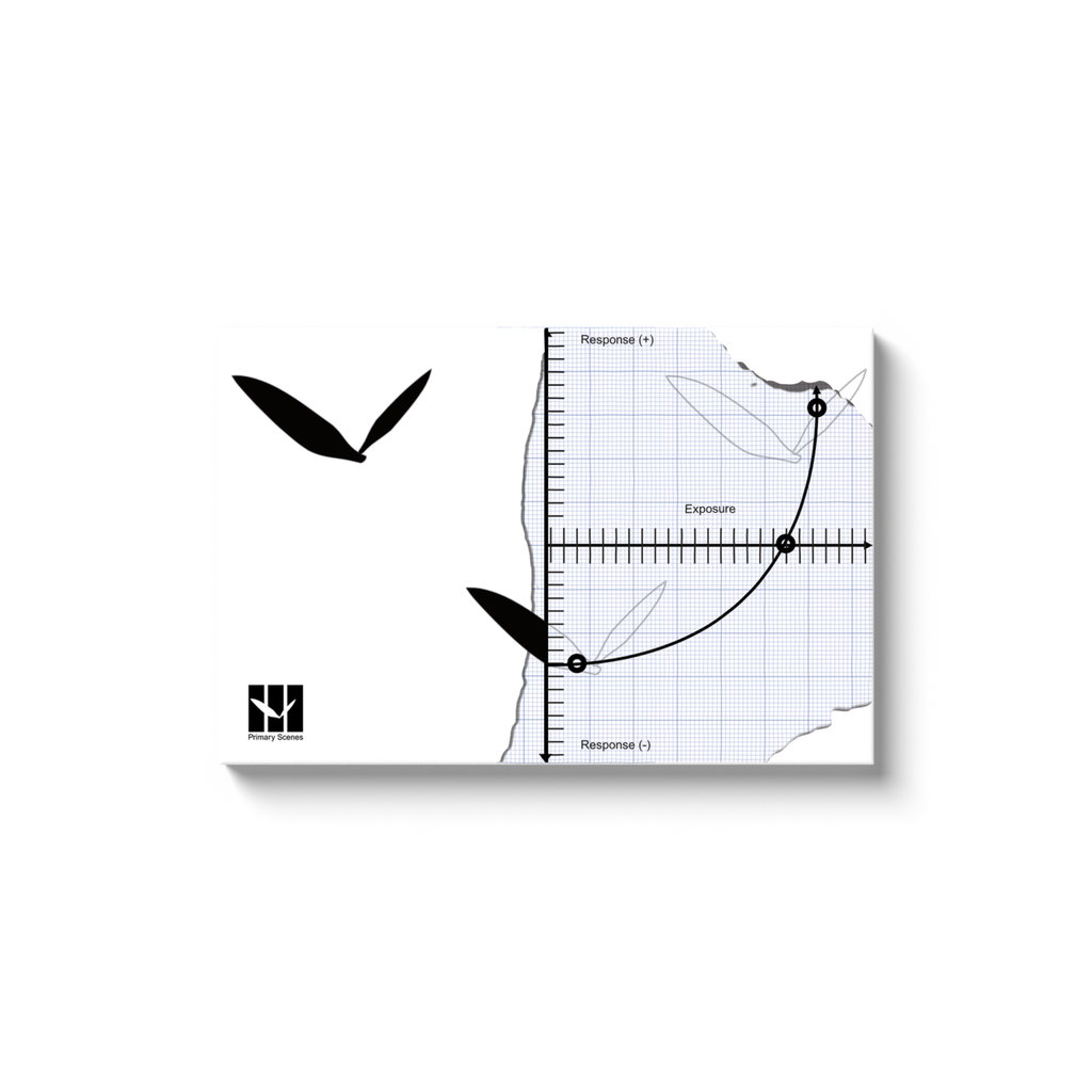 Free Flow Art and Science Collection - Canvas Wrap