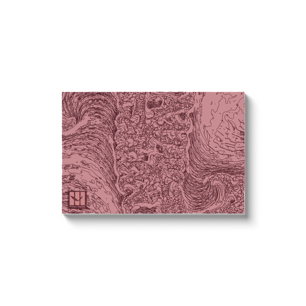 Stones Fractal 723 H - D2 A0 V1 - Canvas