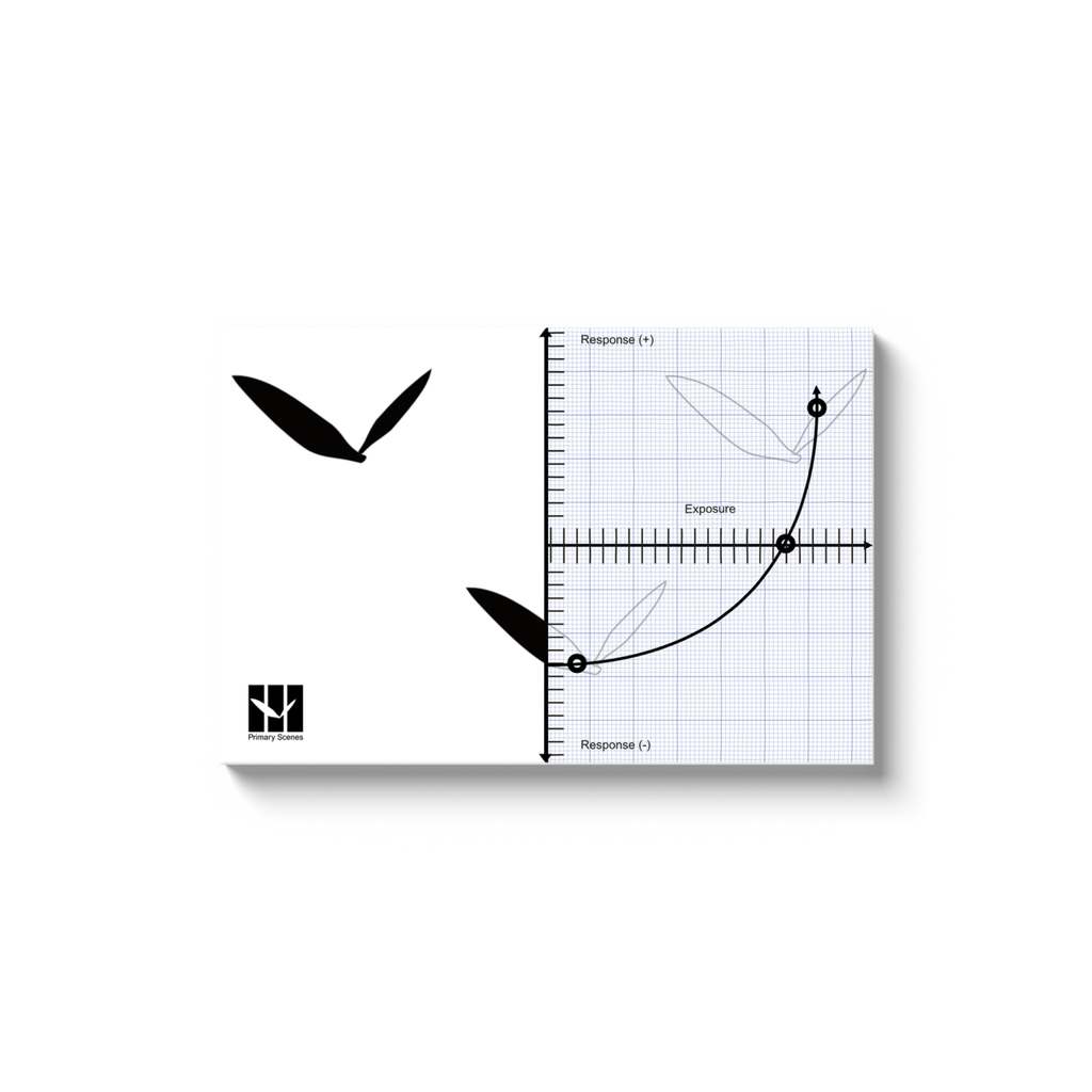 Free Flow Art and Science Collection (Not Ripped) - Canvas Wrap