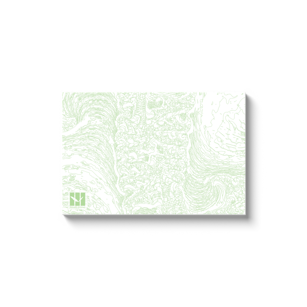 Amazon Fractal 723 H - D2 A0 V1 - Canvas