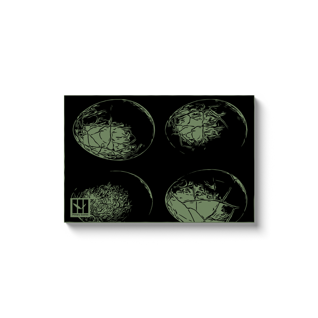 Egg Texture - Canvas Wrap
