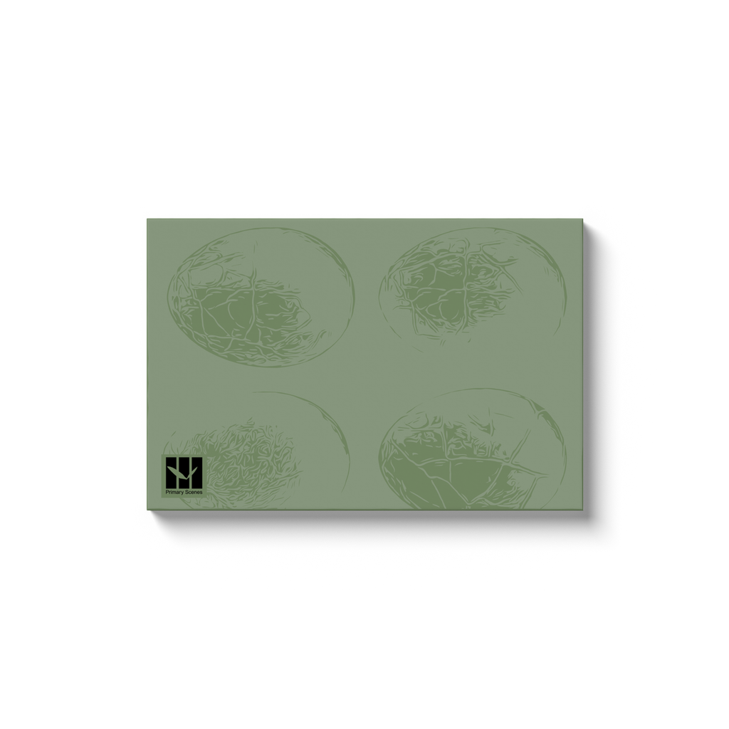 Egg Texture Light - Canvas Wrap