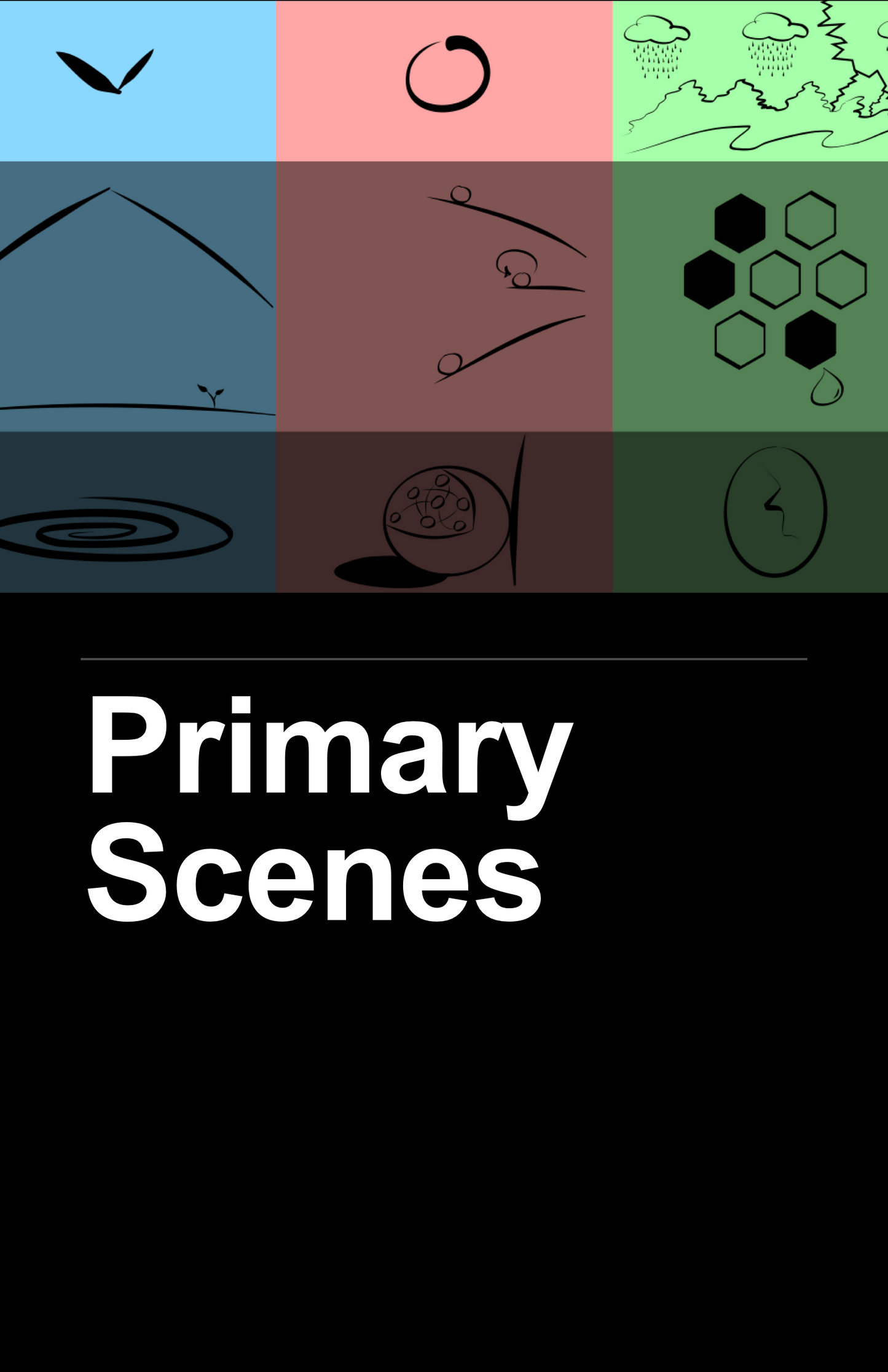 Primary Scenes Overview Book