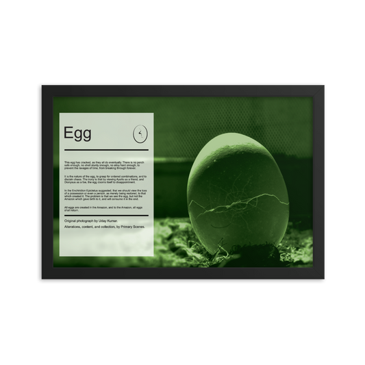 Egg Image Collection