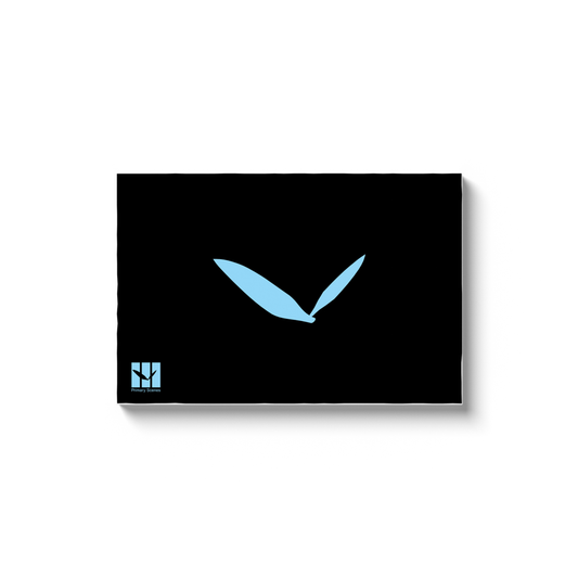 Sky Classic - D1 A1 V1 - Canvas