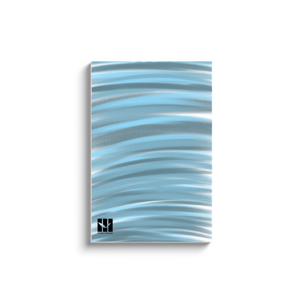 Landscape Streaks - D1 A0 V1 - Canvas